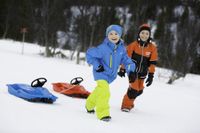 Snow Power Schlitten Black/Green