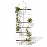 Floranica Rankhilfe 150 x 50 cm Rankgitter für Kletterpflanzen Stütze für Rosen Gemüse