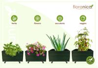 Floranica Blumentopf aus Holz Kasten 4 Rollen 50cm x 535cm x 285cm 