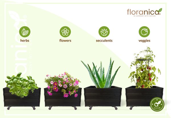 Floranica Blumentopf aus Holz Kasten 4 Rollen 50cm x 535cm x 285cm 
