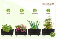 Floranica Blumentopf aus Holz Kasten 4 Rollen 50cm x 535cm x 285cm 