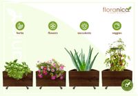 Floranica Blumentopf aus Holz Kasten 4 Rollen 50cm x 535cm x 285cm 