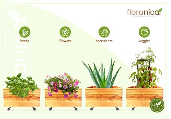 Floranica Blumentopf aus Holz Kasten 4 Rollen 50cm x 535cm x 285cm 