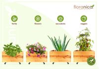 Floranica Blumentopf aus Holz Kasten 4 Rollen 50cm x 535cm x 285cm 