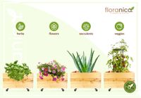 Floranica Blumentopf aus Holz Kasten 4 Rollen 50cm x 535cm x 285cm 