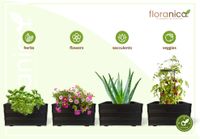Floranica Blumentopf aus Holz Kasten 50cm x 535cm x 285cm 
