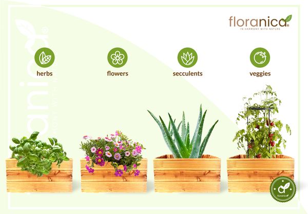 Floranica Blumentopf aus Holz Kasten 50cm x 535cm x 285cm