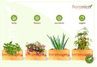 Floranica Blumentopf aus Holz Kasten 50cm x 535cm x 285cm
