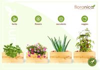 Floranica Blumentopf aus Holz Kasten 50cm x 535cm x 285cm 