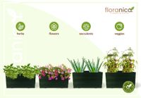 Floranica Blumentopf aus Holz Kasten 50cm x 335cm x 285cm