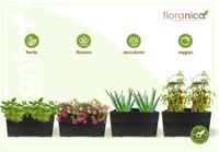 Floranica Blumentopf aus Holz Kasten 50cm x 335cm x 285cm 