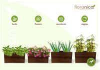 Floranica Blumentopf aus Holz Kasten 50cm x 335cm x 285cm