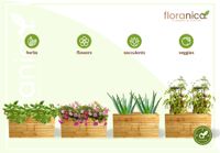Floranica Blumentopf aus Holz Kasten 50cm x 335cm x 285cm