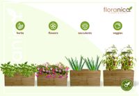 Floranica Blumentopf aus Holz Kasten 50cm x 335cm x 285cm 
