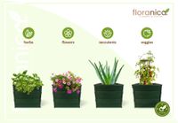Floranica Blumentopf aus Holz Kasten 30cm x 30cm x 285cm 