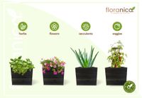 Floranica Blumentopf aus Holz Kasten 30cm x 30cm x 285cm 