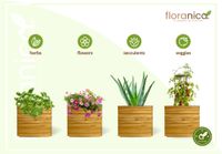 Floranica Blumentopf aus Holz Kasten 30cm x 30cm x 285cm 