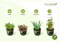 Floranica Runder Blumentopf aus Holz 33x30cm Grün Imprägnierte Kiefer Schutzhülle für Kräuter Blumen
