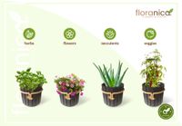 Floranica Runder Blumentopf aus Holz 33x30cm