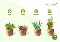Floranica Runder Blumentopf aus Holz 33x30cm