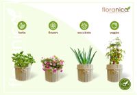 Floranica Runder Blumentopf aus Holz 33x30cm\n