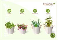 Floranica Runder Blumentopf aus Holz 33x30cm Weiß 