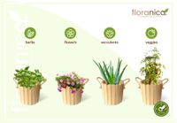 Floranica Runder Blumentopf aus Holz 33x30cm 