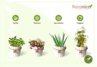 Floranica Runder Blumentopf aus Holz 33x20cm Weiß