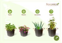 Floranica Runder Blumentopf aus Holz 33x20cm Anthrazit