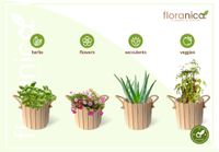 Floranica Runder Blumentopf aus Holz 33x20cm 