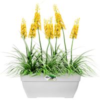 Deuba® Blumentopf Weiß 80x33x35cm 63L