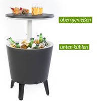 Keter Getränkekühler Anthrazit/Weiß Ø50cm 30L