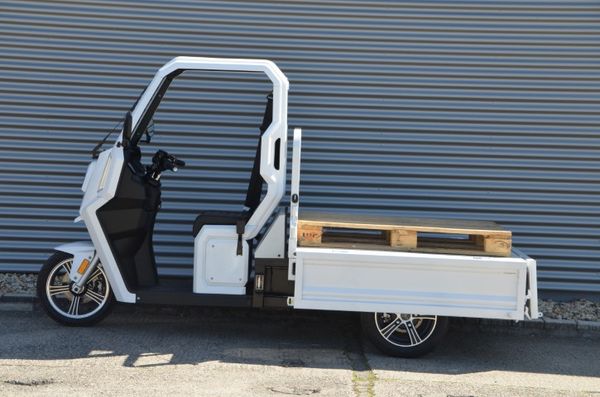 ARI 345 Pritsche Lastenmoped E-Roller Elektrotrike inkl. Speditionskosten & vor Ort Einweisung