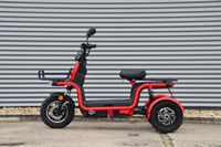 ARI 145 Elektroroller Lastenmoped E-Roller inkl. Speditionskosten & vor Ort Einweisung