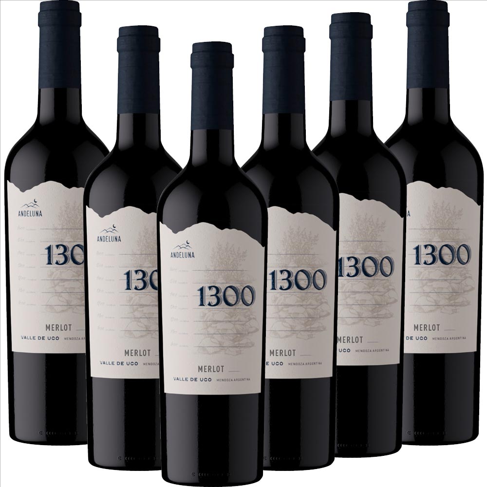 Merlot Andeluna 1300 - 6er Karton