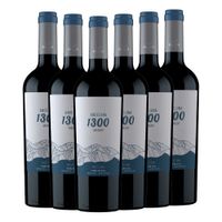 Merlot Andeluna 1300 - 6er Karton