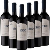 Merlot Andeluna 1300 - 6er Karton