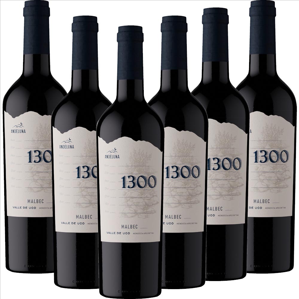 Malbec Andeluna 1300 - 6er Karton