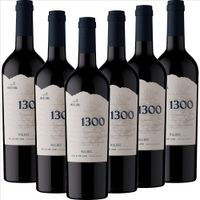 Malbec Andeluna 1300 - 6er Karton