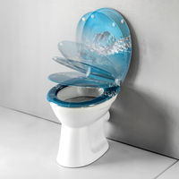 WC Sitz mit Schnellverschluss