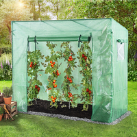 Tomatengewächshaus, ca. 200 x 77 x 169/148 cm