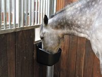 \nProfi-Futtertrog für Pferde