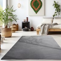 Teppich, SKY 5400, GREY, 120 x 170 cm