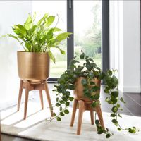 WOHNLING Blumentopf 2er Set Metall Holz Pflanzenkübel Gold Rund Pflanzgefäß