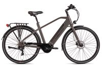 Alu E-Citybike Herren Mantova 28'' E-Bike grau 250 Watt Li-Ion 36V/10,4 Ah 7 Gänge
