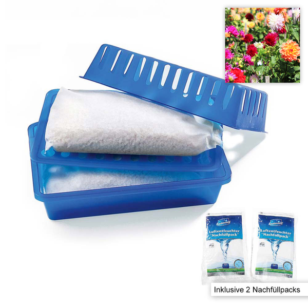 Luftentfeuchter Starter-Set mit Blumenfrische - Grau