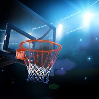 Ø 45 cm Basketballring mit Netz