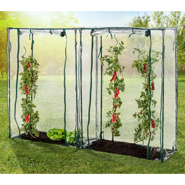 Tomatengewächshäuser, ca.150 x 100 x 50 cm - 2 Stück