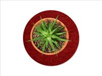 Keilbach Blumentopf Unterlage, ⌀ 40,0 cm, rot