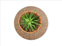 Keilbach Blumentopf Unterlage, ⌀ 34,0 cm, sandfarben